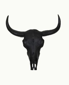 Череп Бизона (12138г)
